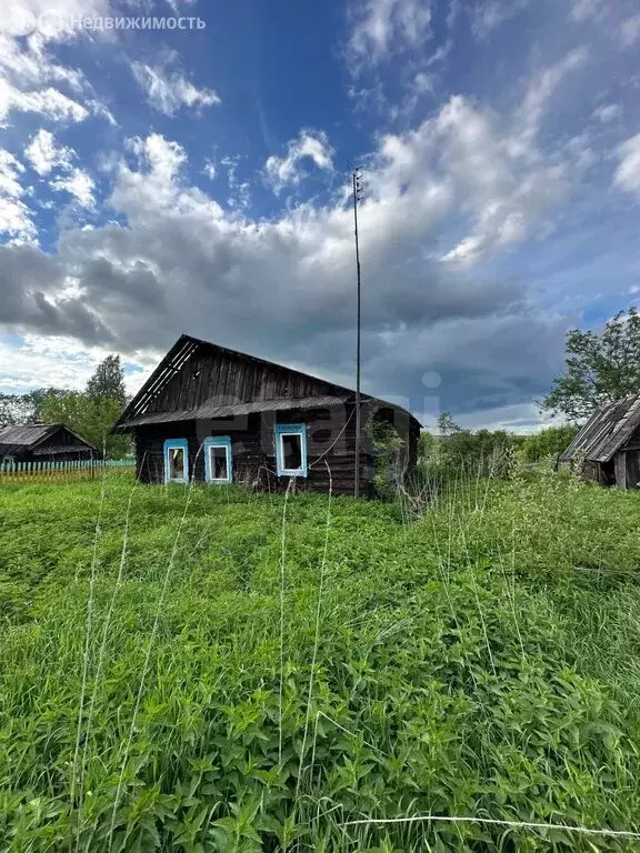 Участок в посёлок станции Чайковская, Луговая улица (16 м) - Фото 1