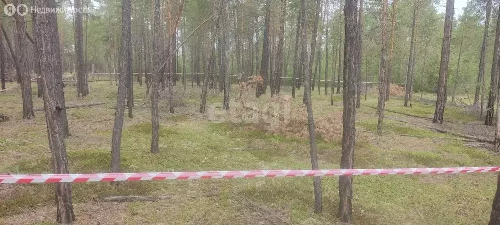 Участок в Республика Саха (Якутия), Мегино-Кангаласский улус, посёлок ... - Фото 1