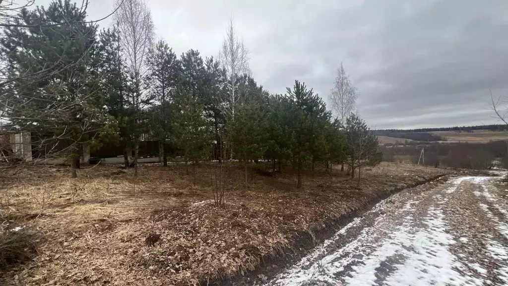 Участок в Московская область, Истра муниципальный округ, д. Бодрово  ... - Фото 1