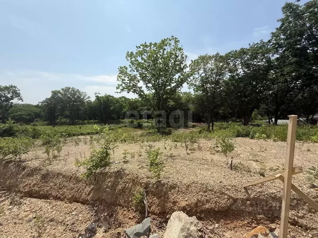 Участок в Приморский край, Надеждинский район, Тавричанское урочище ... - Фото 0