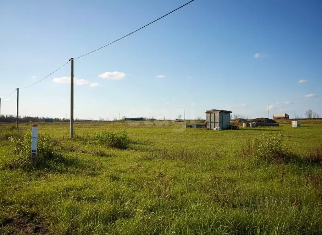 Участок в Белгородская область, Белгородский район, с. Стрелецкое пер. ... - Фото 1