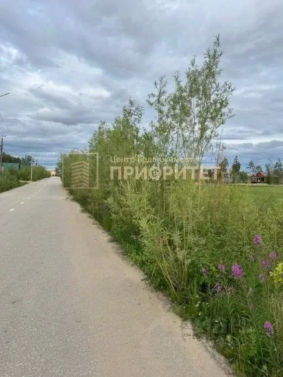 Участок в Саха (Якутия), Мегино-Кангаласский улус, Нижний Бестях пгт ... - Фото 2