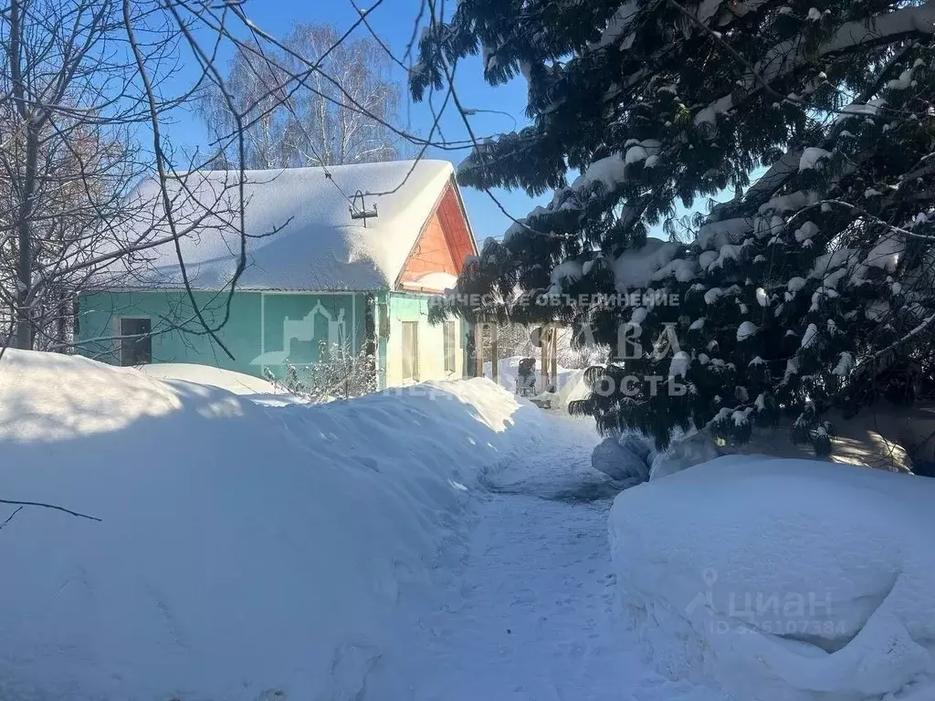 Дом в Кемеровская область, Кемерово ул. В.П. Додолина (38 м) - Фото 1