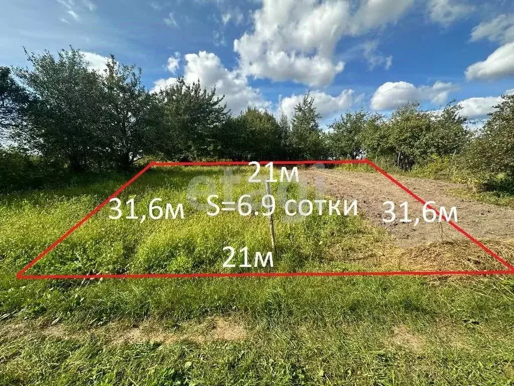 Купить Земельный Участок В Брянской Области