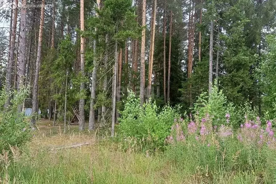 Участок в Республика Коми, муниципальный район Сыктывдинский, ... - Фото 0