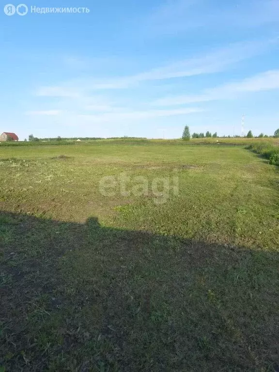 Участок в посёлок Ромоданово, Лесная улица (15 м) - Фото 1