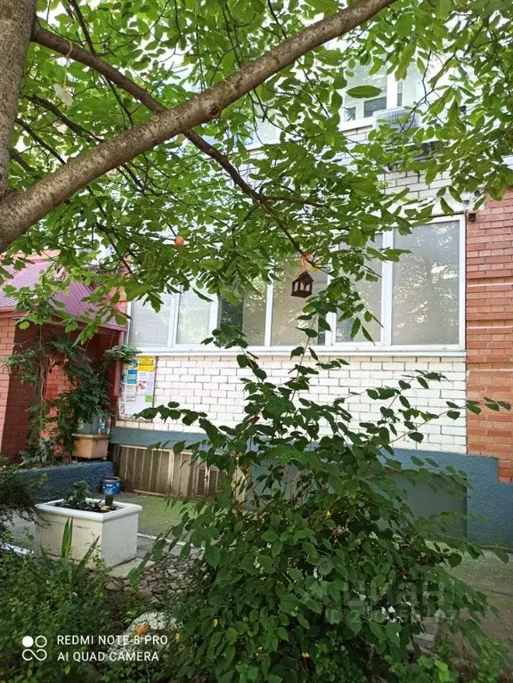 Склад в Краснодарский край, Краснодар Юбилейный мкр, ул. Думенко, 2 ... - Фото 2