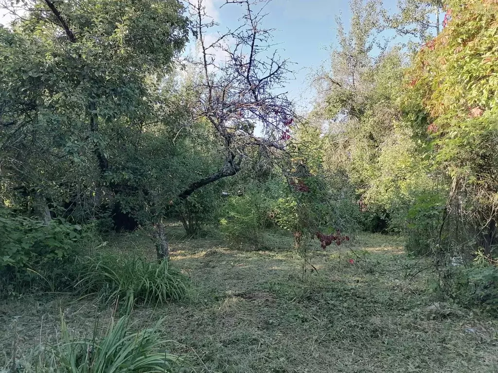 Участок в Московская область, Рузский муниципальный округ, Лесное ... - Фото 1