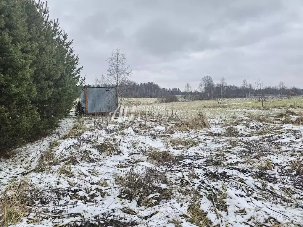 Участок в Московская область, Рузский городской округ, д. Филатово 15 ... - Фото 1