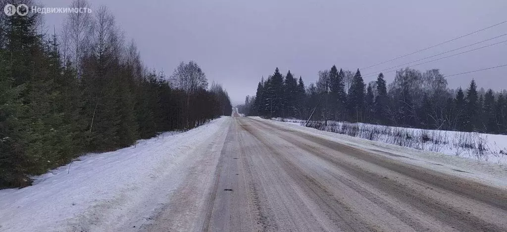 Участок в Одинцовский городской округ, коттеджный посёлок Каретный ряд ... - Фото 1