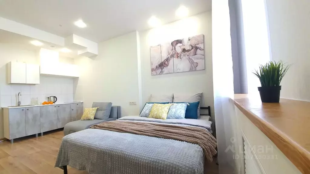 1-к кв. Пермский край, Пермь ул. Куйбышева, 109А (27.0 м) - Фото 1