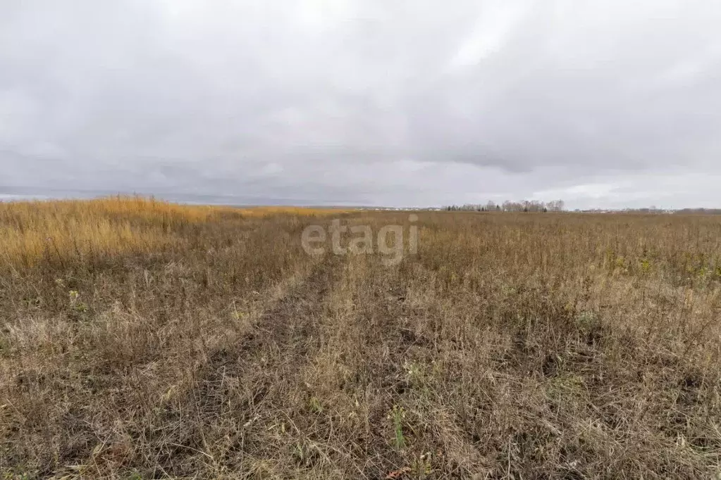 Участок в Татарстан, Тукаевский район, с. Бетьки  (10.0 сот.) - Фото 1
