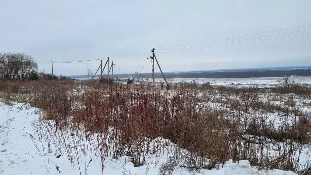 Участок в Владимирская область, Муромский район, Ковардицкое ... - Фото 1