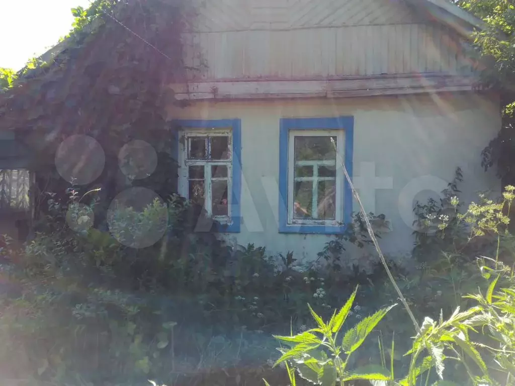 Купить Дачу В Унече Брянской Области