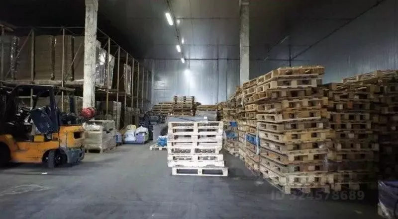 Склад в Нижегородская область, Нижний Новгород ул. Чаадаева, 43 (400 ... - Фото 1