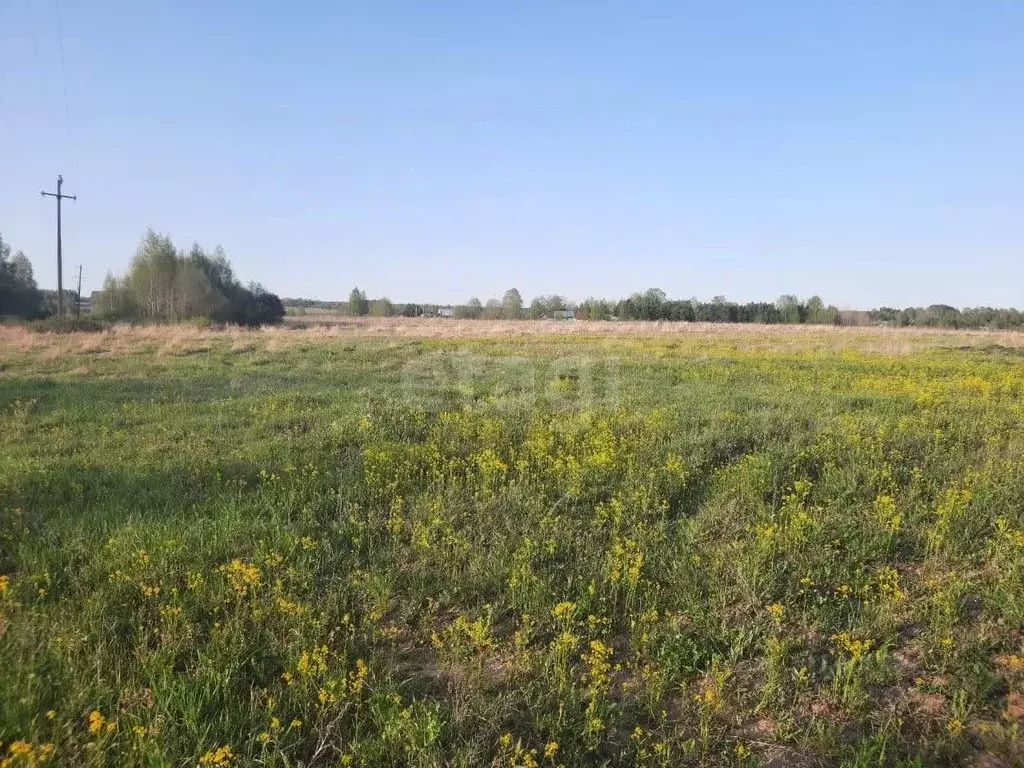 Участок в Брянская область, Злынковский район, Спиридоновобудское ... - Фото 1