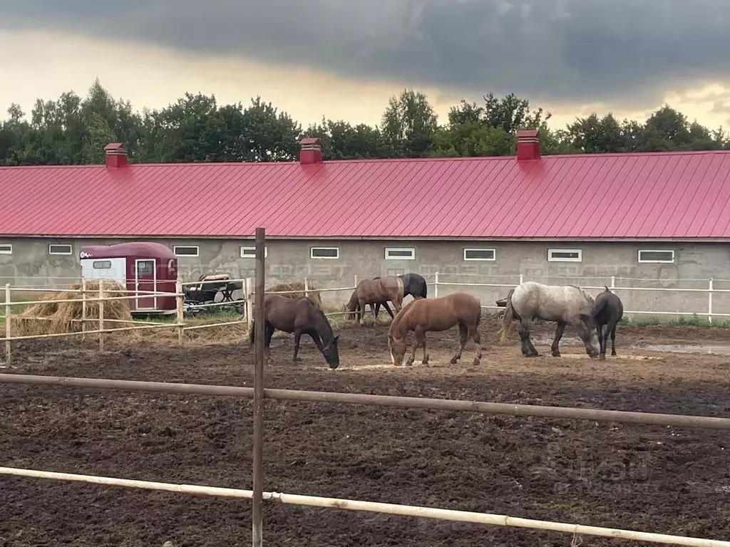Участок в Татарстан, Пестречинский район, Шигалеевское с/пос, Городок ... - Фото 2