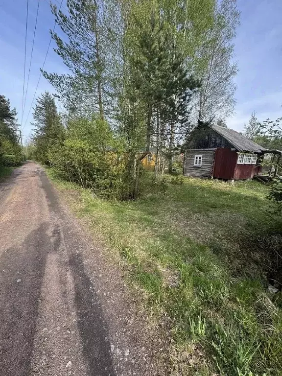 Участок в Ленинградская область, Выборгский район, Рощинское городское ... - Фото 2