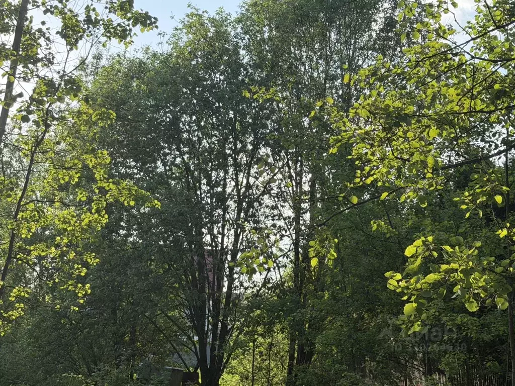 Участок в Московская область, Одинцовский городской округ, с. ... - Фото 2