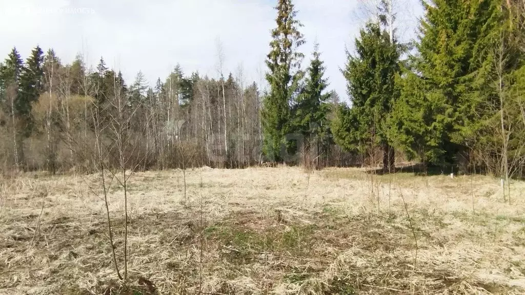 Участок в посёлок Пчёвжа, Узкоколейная улица (6 м) - Фото 2