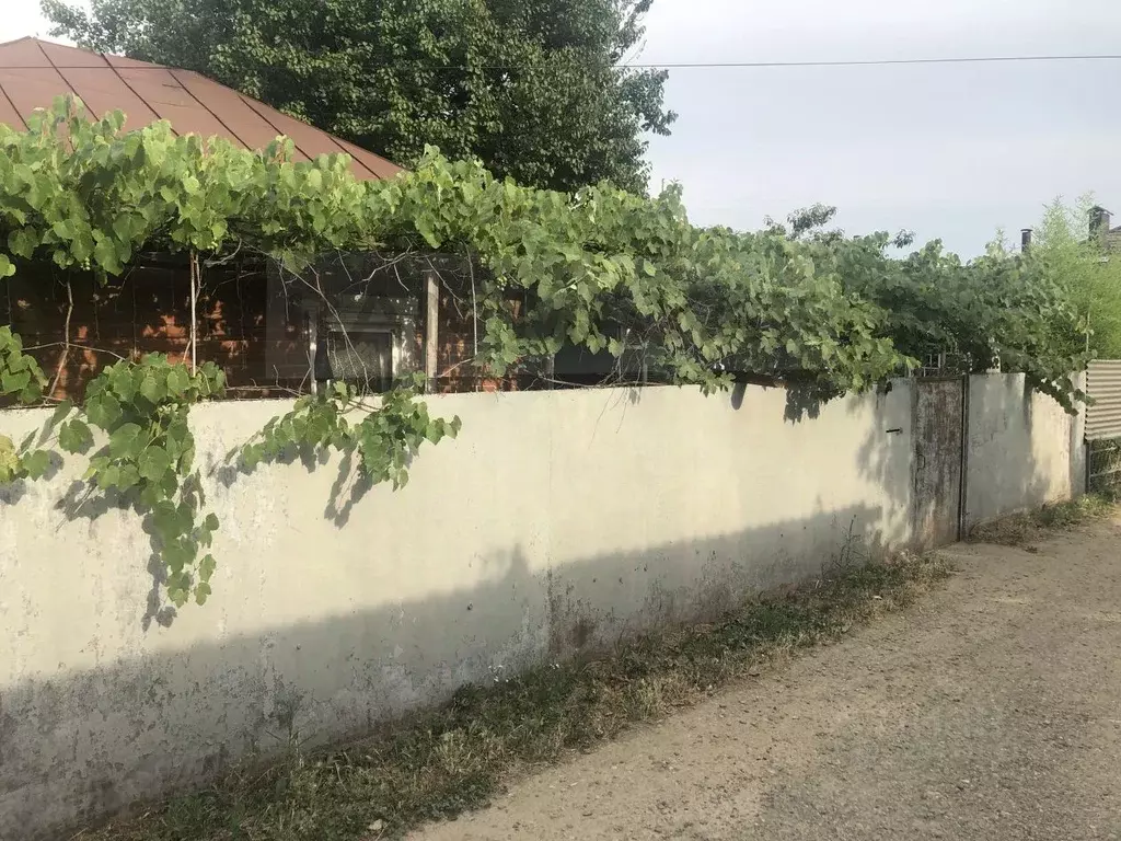 Дом в Адыгея, Майкоп ул. Некрасова (50 м) - Фото 0