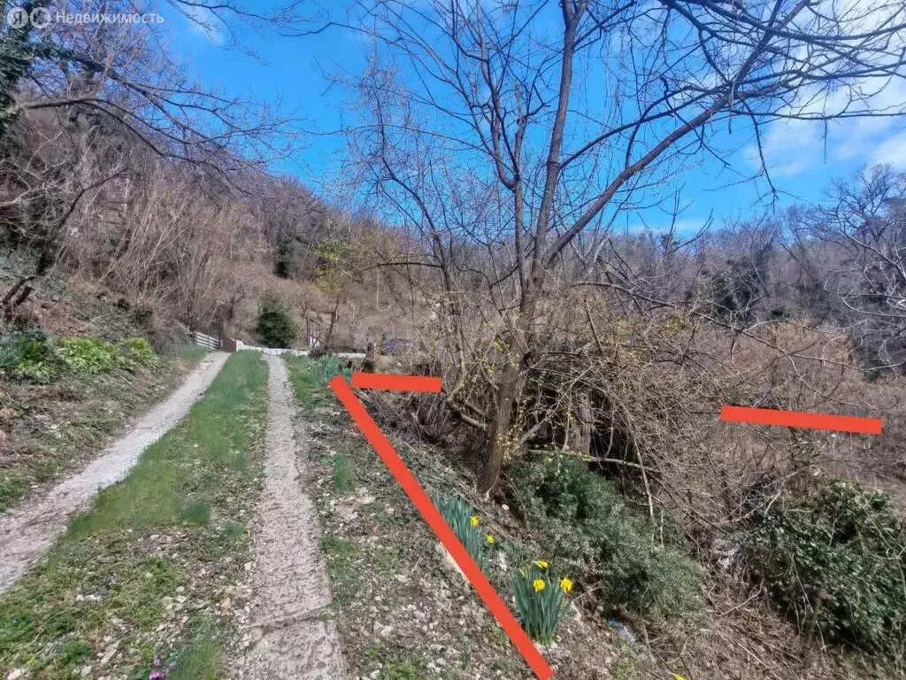 Участок в Краснодарский край, Туапсинский муниципальный округ, СТ Заря ... - Фото 2