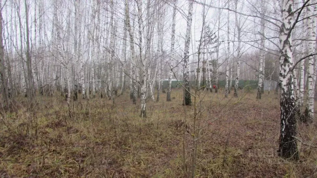 Участок в Московская область, Коломна городской округ, с. Редькино  ... - Фото 2