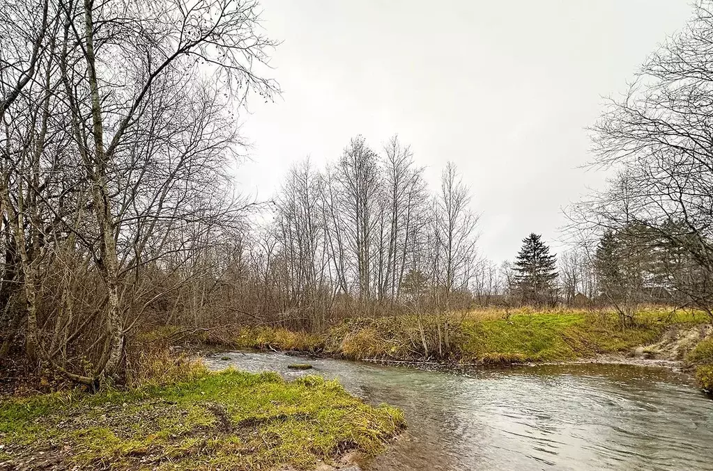 Участок в Ленинградская область, Ломоносовский район, Ропшинское ... - Фото 2