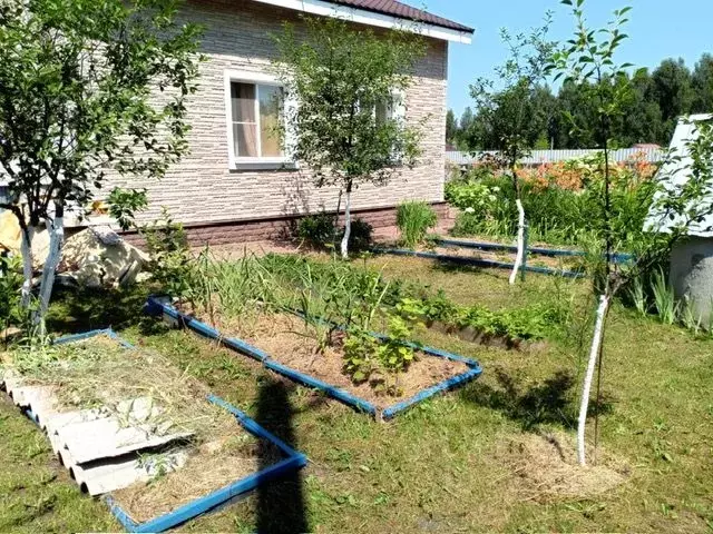 Дом в Московская область, Дмитровский муниципальный округ, Зверобой ... - Фото 2