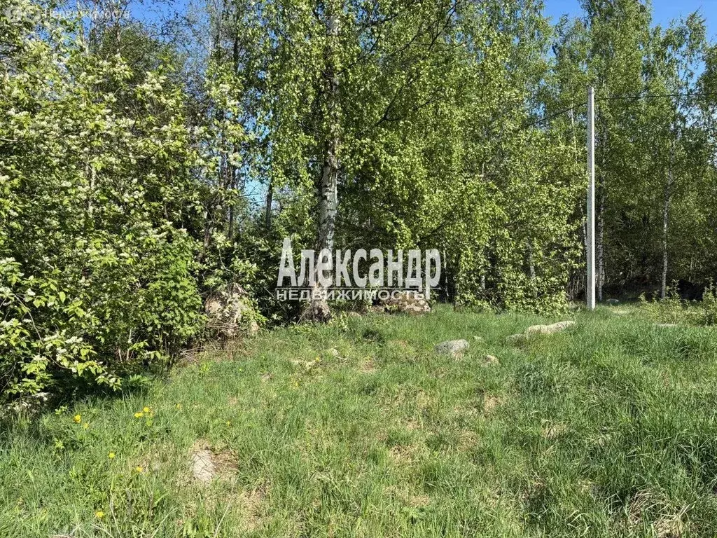 Участок в Приозерский район, Ларионовское сельское поселение, посёлок ... - Фото 2