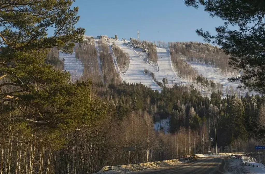 Участок в Свердловская область, Кировградский муниципальный округ, ... - Фото 1