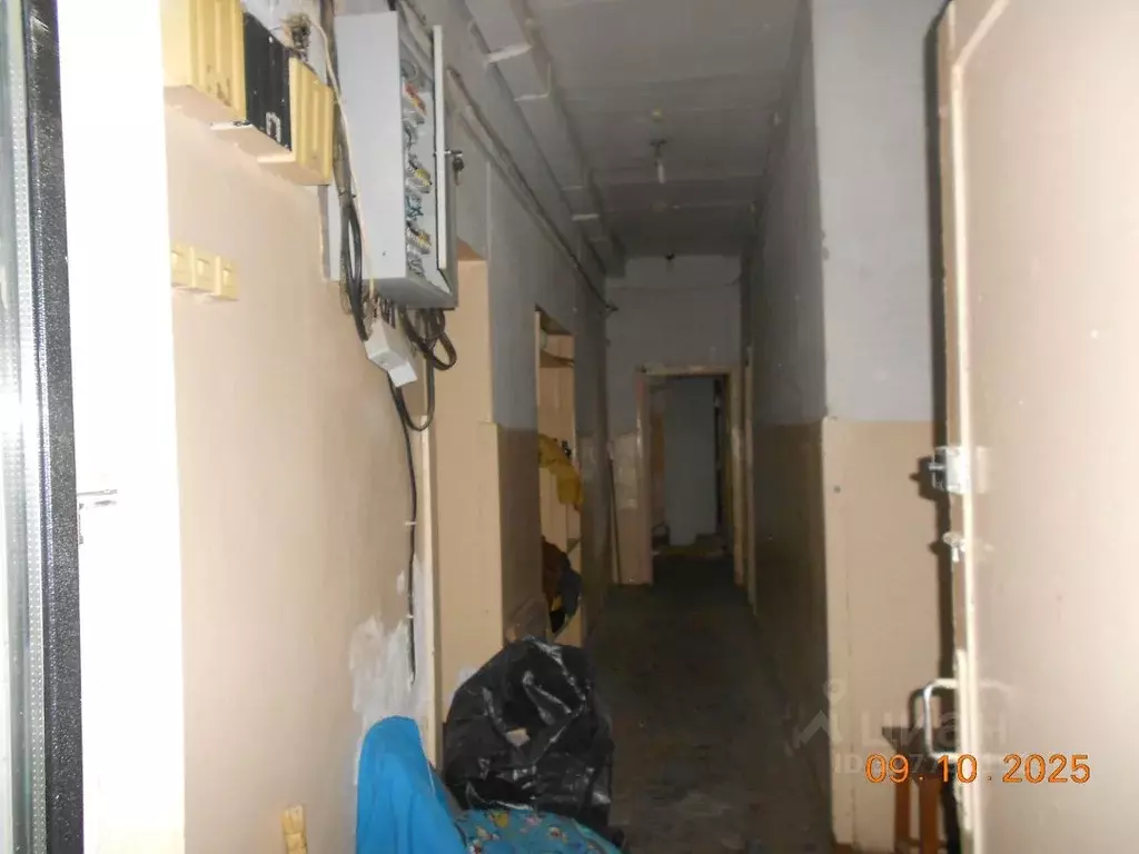 Помещение свободного назначения в Новосибирская область, Новосибирск ... - Фото 2