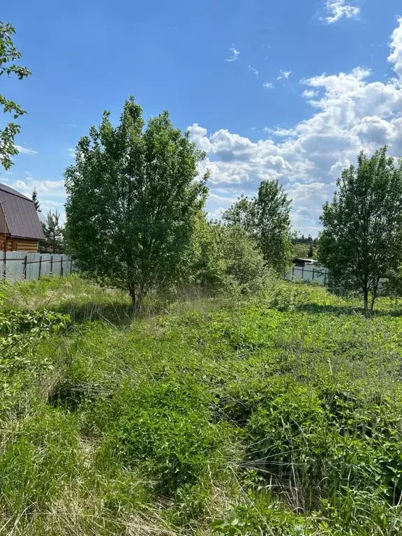 Участок в Московская область, Наро-Фоминский городской округ, д. ... - Фото 0