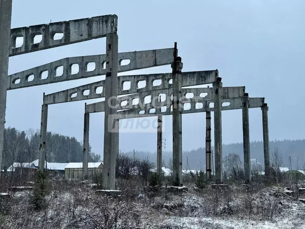 Участок в Челябинская область, Нязепетровск ул. Пушкина (50.0 сот.) - Фото 1