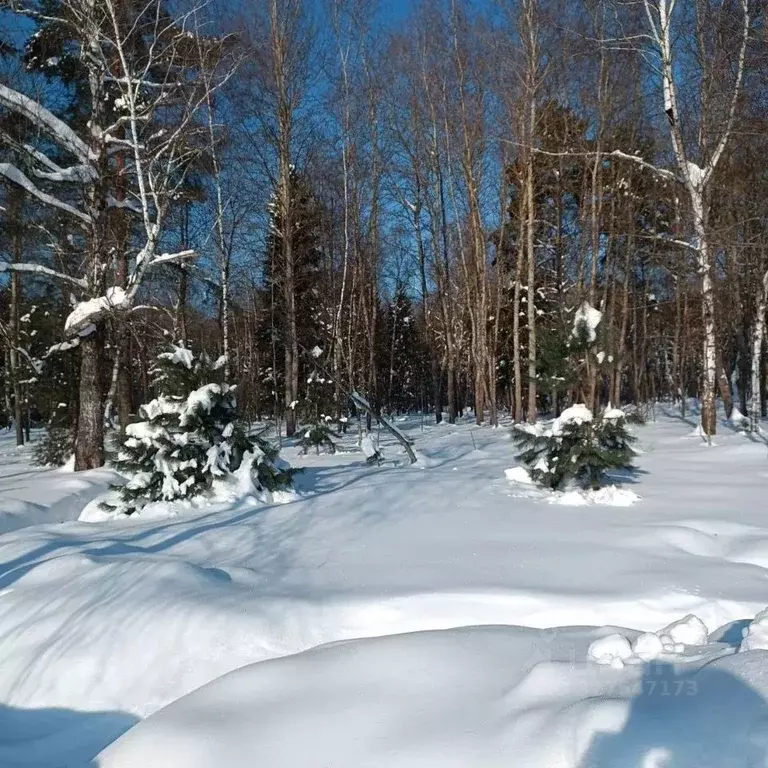 Участок в Московская область, Серпухов городской округ, д. Дашковка  ... - Фото 1