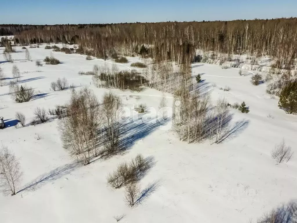 Купить Дачу В Днт Янтарь Екатеринбург