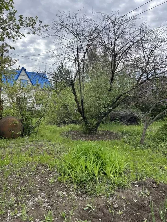 Участок в Саратовская область, Энгельсский район, Красноярское ... - Фото 1