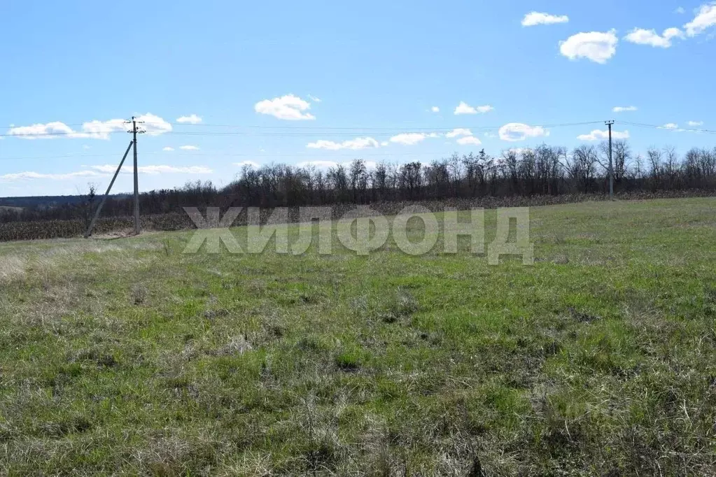 Участок в Белгородская область, Белгородский муниципальный округ, с. ... - Фото 1