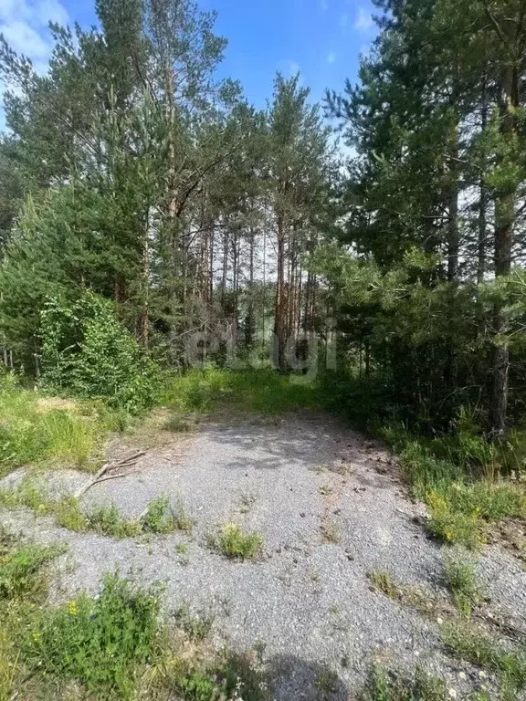 Участок в Свердловская область, Березовский муниципальный округ, пос. ... - Фото 2