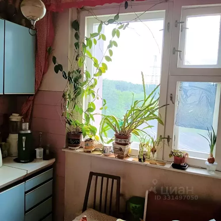 Комната Москва Уральская ул., 23К4 (15.0 м) - Фото 1