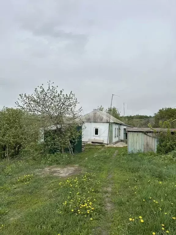Дом 38,4 м на участке 25 сот. - Фото 1