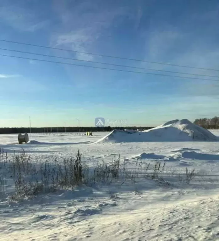 Участок в Тюменская область, Тюменский район, с. Каменка  (7.52 сот.) - Фото 1