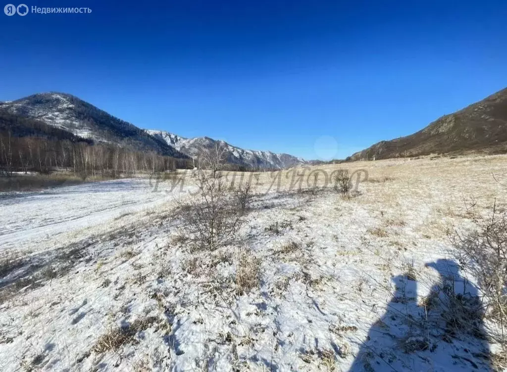 Участок в Шебалинский район, село Мыюта (13 м) - Фото 1