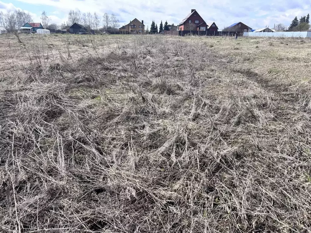 Участок в Мордовия, Саранск городской округ, д. Ивановка ул. ... - Фото 1