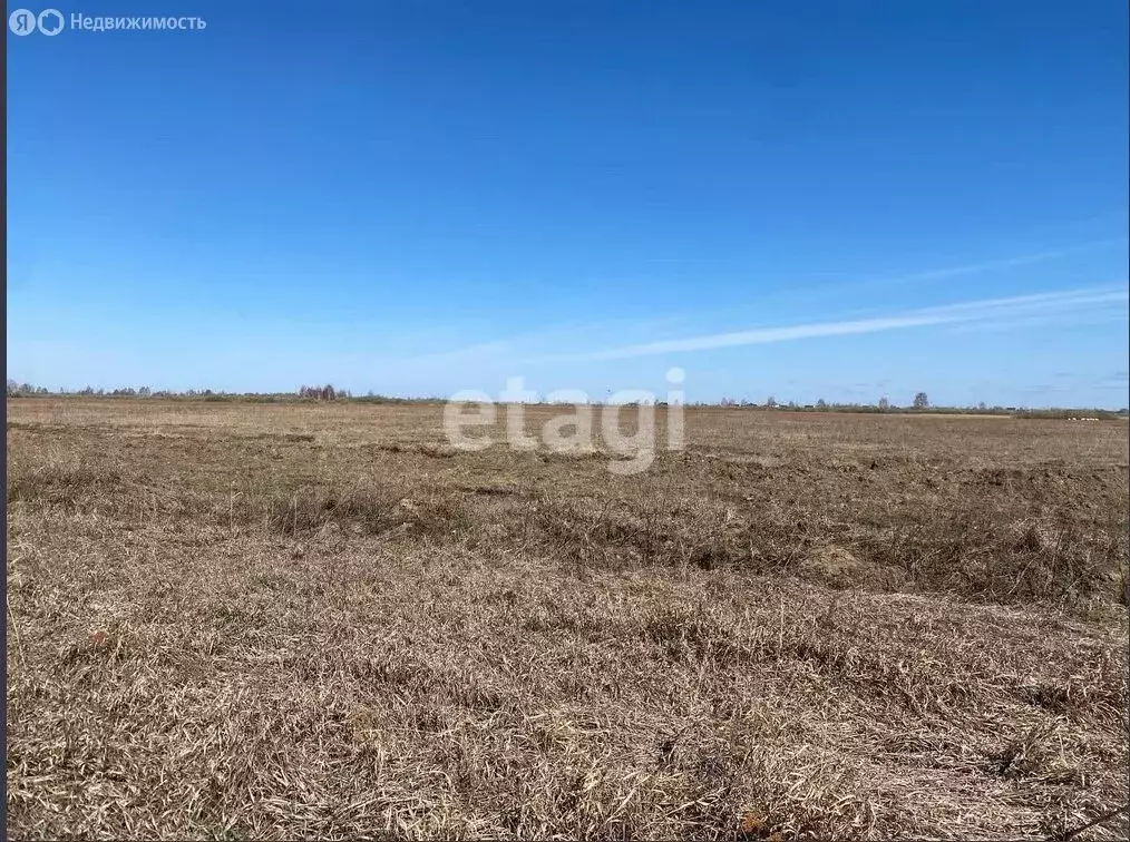 Участок в Тюмень, ТОО Ембаевское (11.38 м) - Фото 2