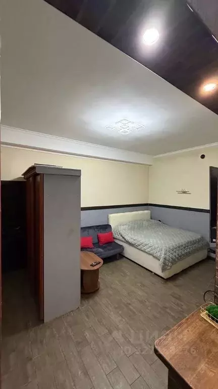 Студия Краснодарский край, Сочи Красная Поляна пгт, ул. ... - Фото 1