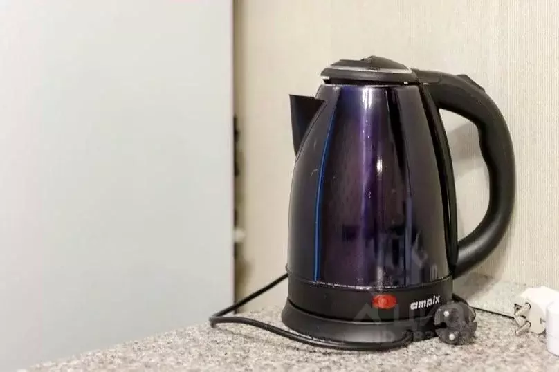 1-к кв. Псковская область, Псков Завеличье исторический район, ул. ... - Фото 2