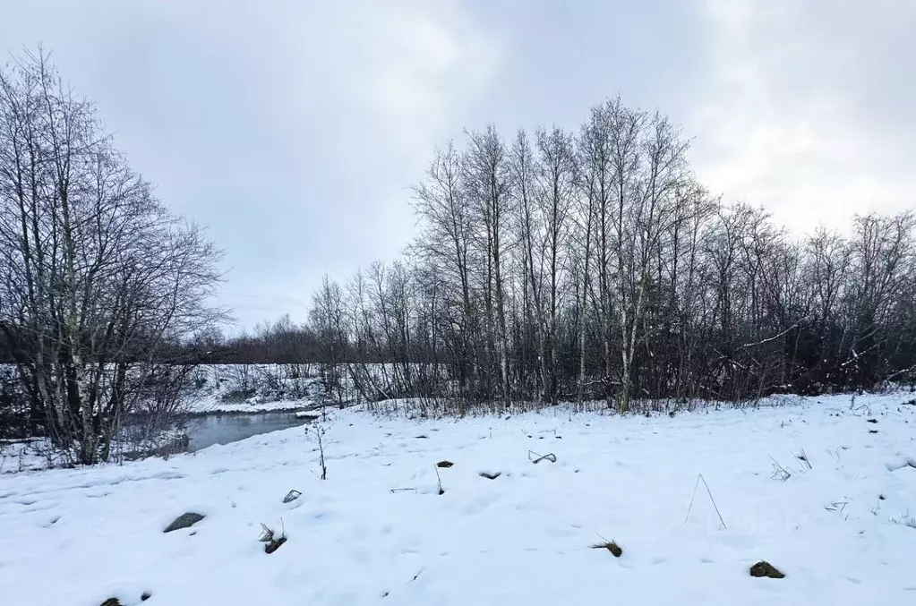 Участок в Ленинградская область, Ломоносовский район, Ропшинское с/пос ... - Фото 1