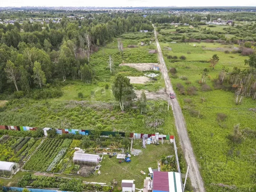 Участок в Тюменская область, Тюмень Ясень садовое товарищество, ул. ... - Фото 1