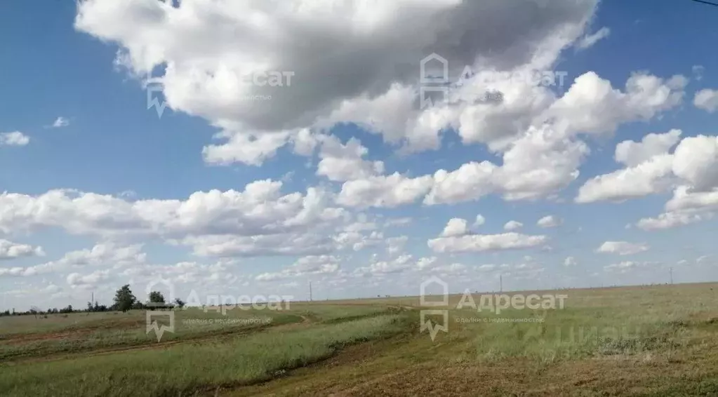 Участок в Волгоградская область, Среднеахтубинский район, ... - Фото 2